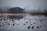 Kashmir. Srinagar. Photo: K.Churakov