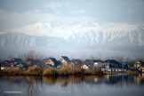 Kashmir. Srinagar. Photo: K.Churakov