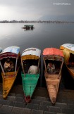 Kashmir. Srinagar. Photo: K.Galat