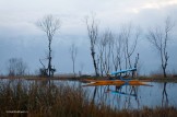 Kashmir. Srinagar. Photo: K.Galat