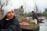 Kashmir. Srinagar. Photo: K.Galat