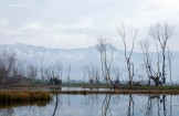 Kashmir. Srinagar. Photo: K.Galat