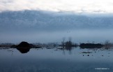 Kashmir. Srinagar. Photo: K.Galat