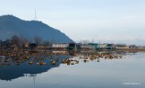 Kashmir. Srinagar. Photo: K.Galat