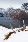 Norway. Norangsfjord. Photo: K.Galat