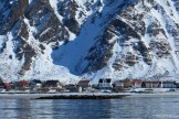 Lofoten islands. Photo: K. Galat