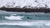 Surf spot at Lofoten islands. Photo: N. Lapina