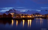 Lofoten islands. Photo: N. Lapina