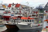 Lofoten islands. Photo: N. Lapina