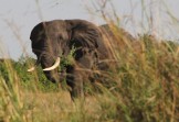 Uganda. Photo: Andrey Pesterev.