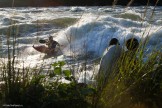 Uganda. Nile river. Rider: Dmitriy Danilov. Photo: Konstantin Galat