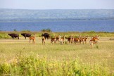 Uganda. Photo: Konstantin Galat