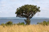 Uganda. White Nile. "Murchison Falls" national park. Photo: Konstantin Galat