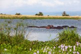 Uganda. "Murchison Falls" national park. Photo: Konstantin Galat