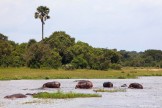 Uganda. White Nile. "Murchison Falls" national park. Photo: Konstantin Galat