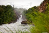 Uganda. "Murchison Falls" national park. Photo: Konstantin Galat