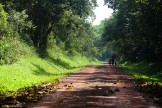 Uganda. "Murchison Falls" national park. Photo: Konstantin Galat