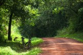 Uganda. "Murchison Falls" national park. Photo: Konstantin Galat