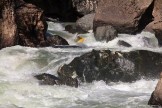 Georgia. Upper Svaneti. Inguri river. Rider: Artem Trifonov. Photo: Konstantin Galat