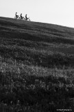 Slovakia. Low Tatras mountains. RTP riders. Photo by Konstantin Galat