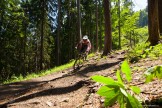 Slovakia. Malino Brdo bike park. Rider - Nikolay Pukhir. Photo by Konstantin Galat