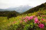 Austria. Salzburgerland. Photo: Konstantin Galat