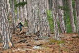 Crimea. Ai-Petri region. "Miskhor" trail. Rider - Vladimir Puliayevskiy. Photo: Konstantin Galat