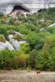 Crimea. Bakhtchisaray region. Eski-Kermen cave city. Photo: Konstantin Galat