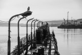 Murmansk seaport. Photo by Konstantin Galat