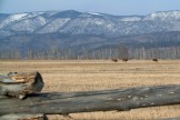 Бурятия. Тункийская долина. Фото - Константин Галат