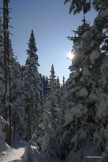 Бурятия. Прибайкалье. Хребет Хамар-Дабан. Ущелье Мамай. Фото – Григорий Корнеев